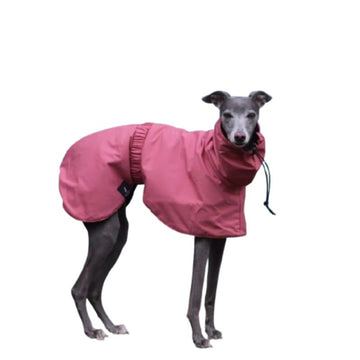 Fashion Waterproof Dog Vest