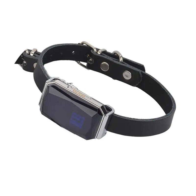 Waterproof GPS Pet Tracker