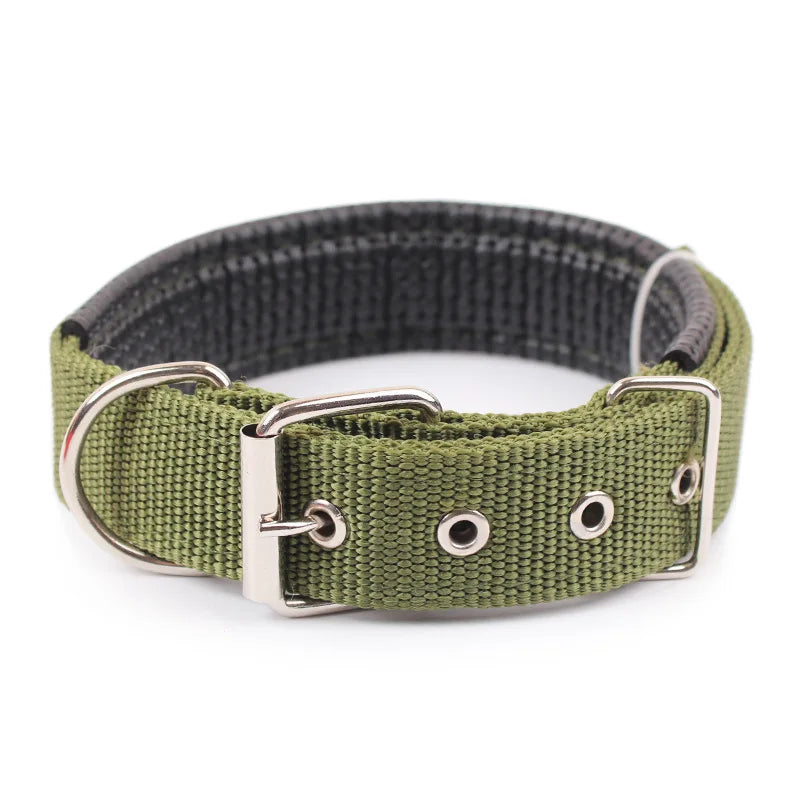 Durable Adjustable Nylon Dog Collar
