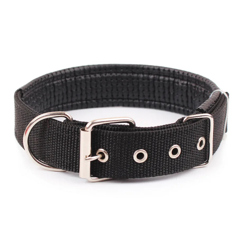 Durable Adjustable Nylon Dog Collar