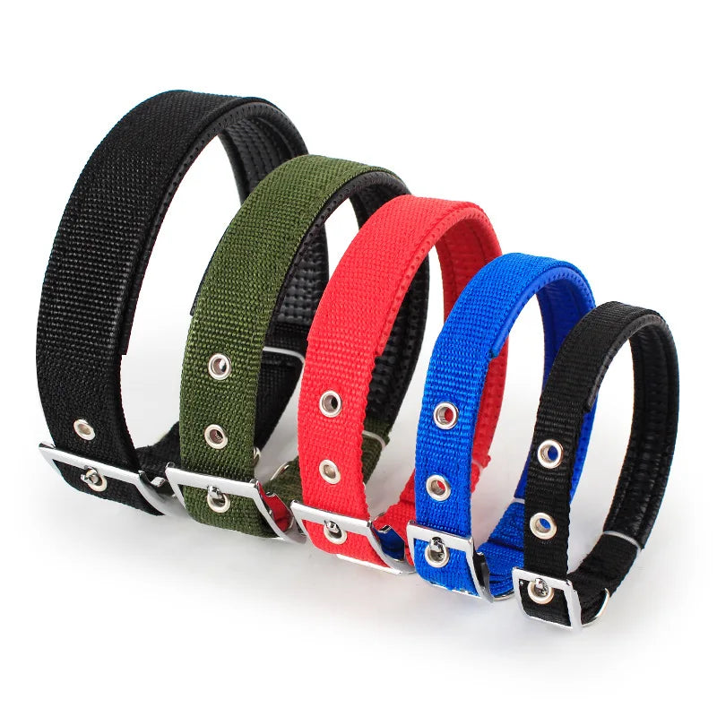 Durable Adjustable Nylon Dog Collar
