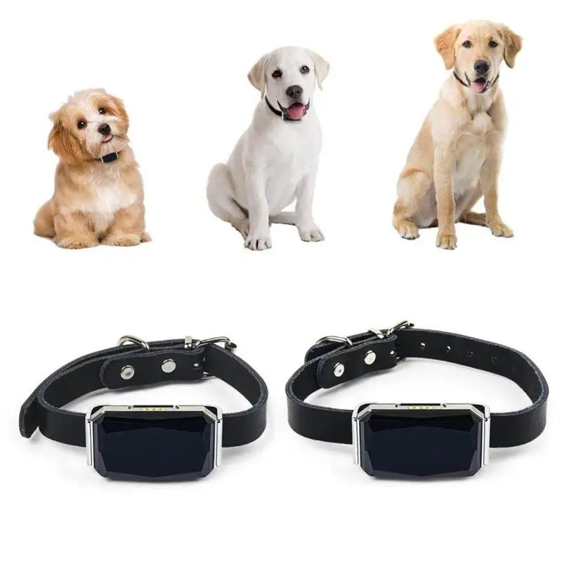 Waterproof GPS Pet Tracker