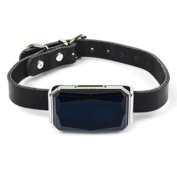Waterproof GPS Pet Tracker