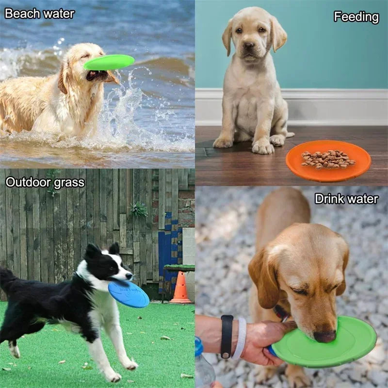 Dog Frisbee Toy
