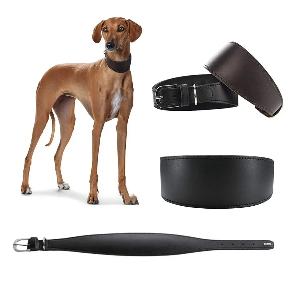 Adjustable Leather Dog Collar
