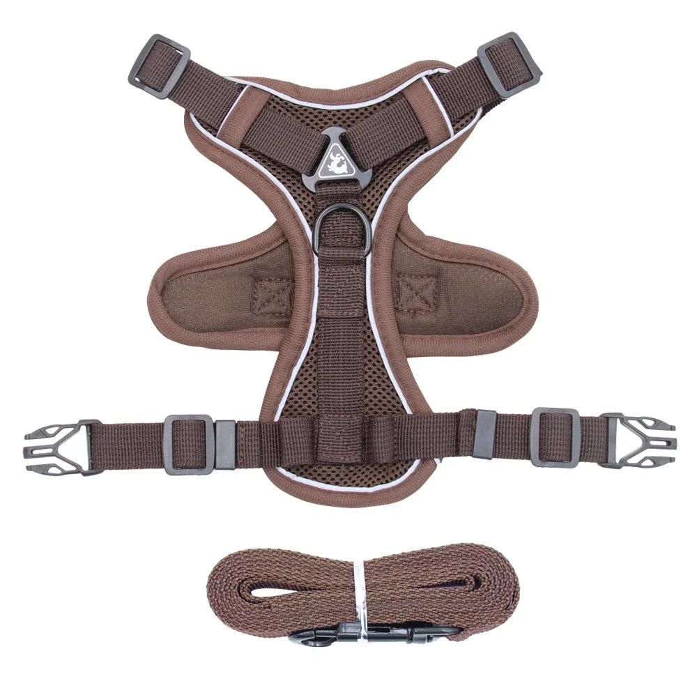 Cat Harness Leash Set