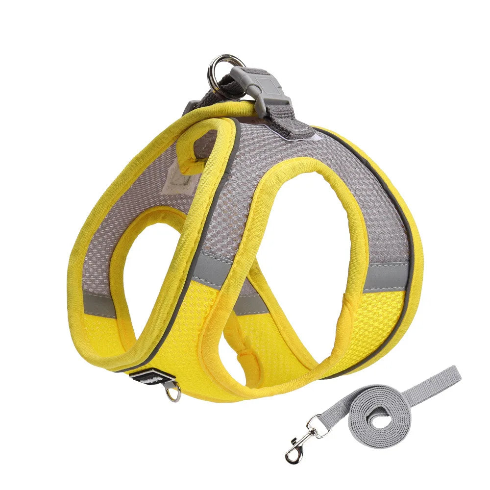 Dog Harness and Leash Set
