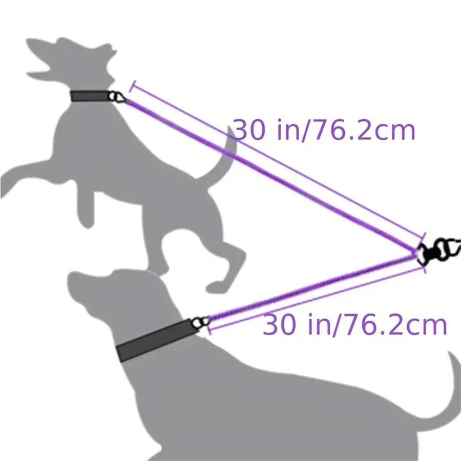 Dual Dog Walking Leash