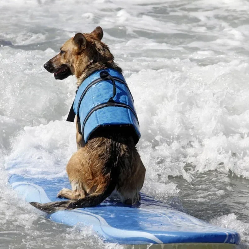 Reflective Dog Life Jacket