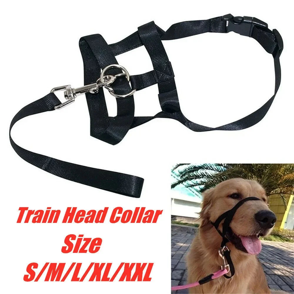 Dog Halter Training Head Collar