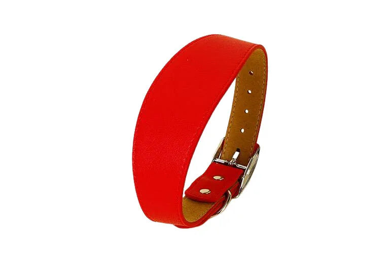 Wide Leather Dog Collar