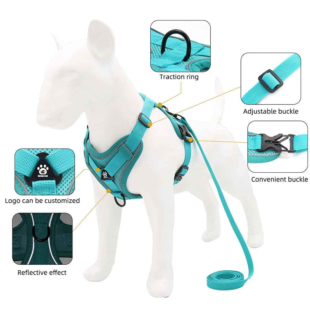 Cat Harness Leash Set