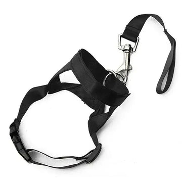 Dog Halter Training Head Collar