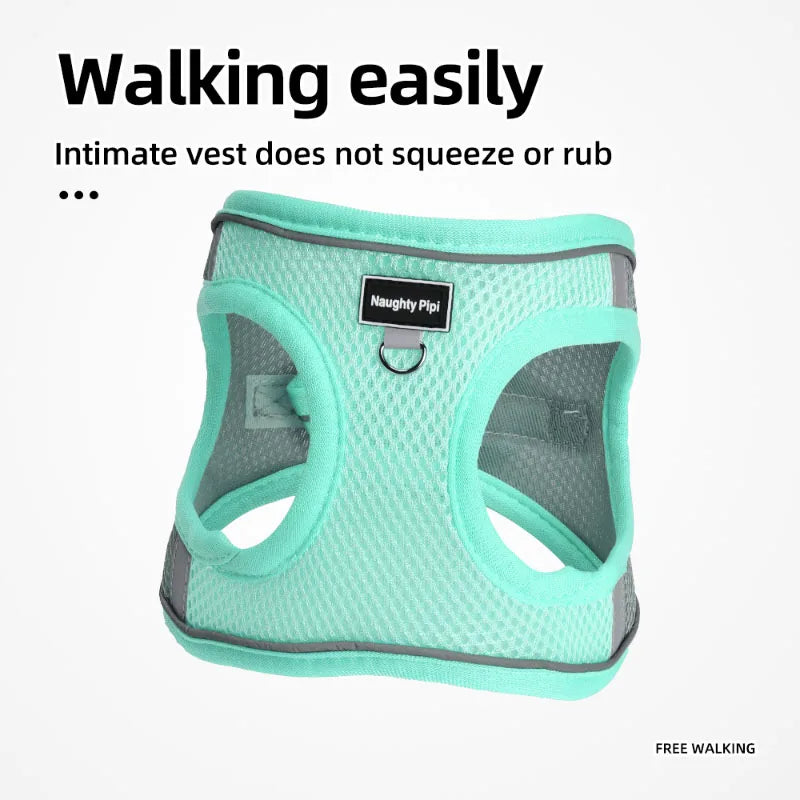 Dog Harness and Leash Set