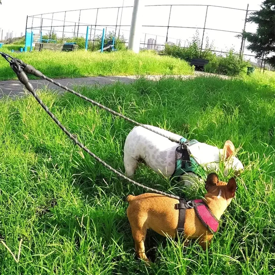 Dual Dog Walking Leash
