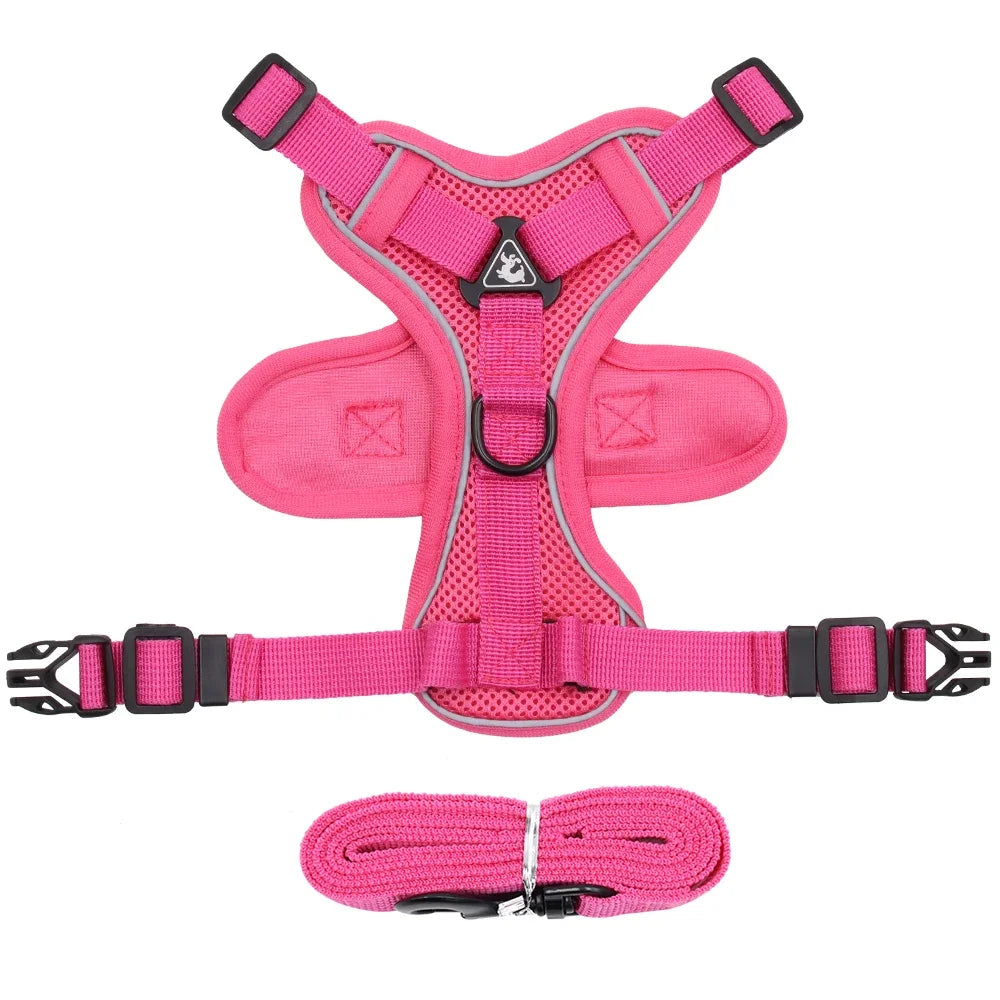 Cat Harness Leash Set