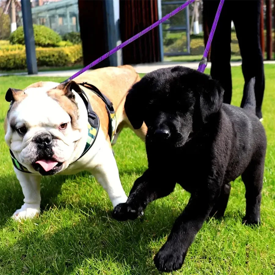 Dual Dog Walking Leash