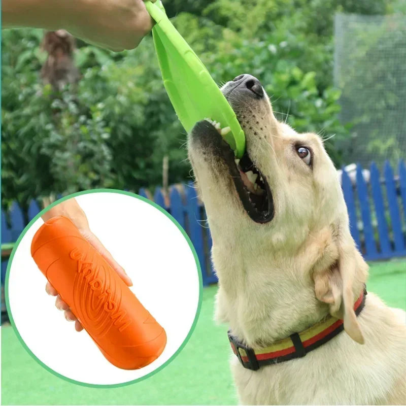 Dog Frisbee Toy