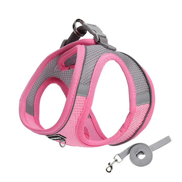 Dog Harness and Leash Set