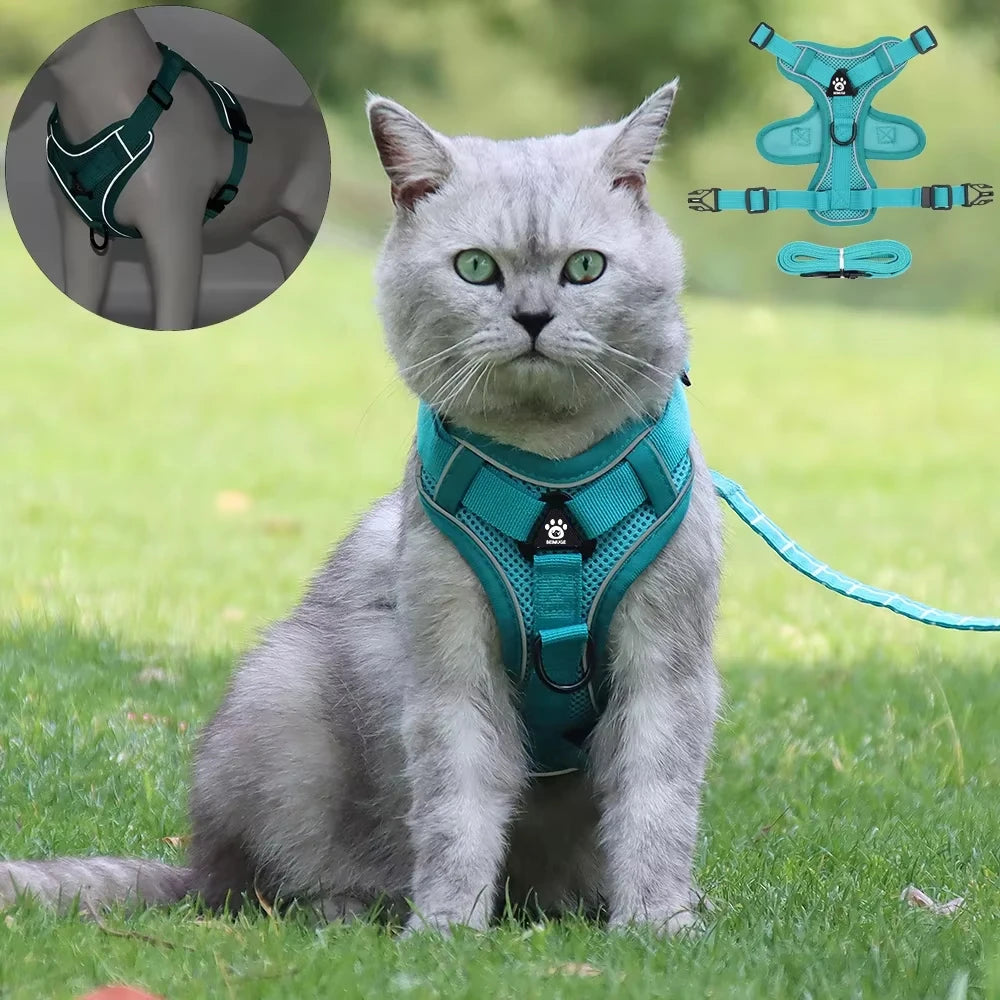 Cat Harness Leash Set