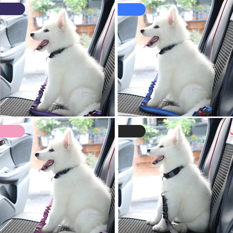 Adjustable Pet Car Seat Belt