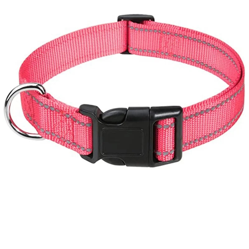Decorative Small Dog Collar