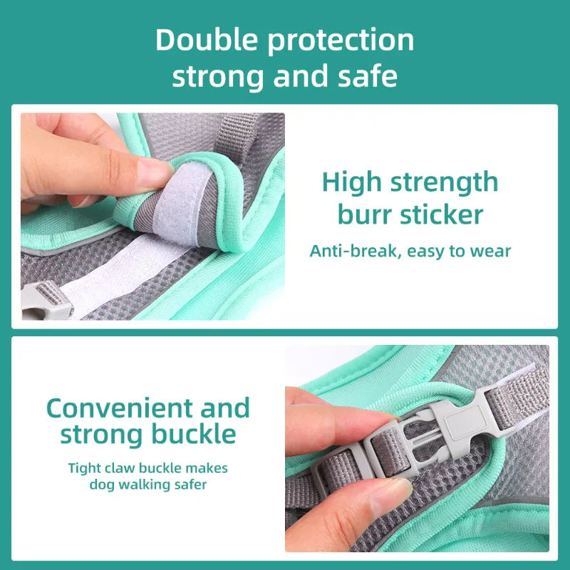 Dog Harness and Leash Set