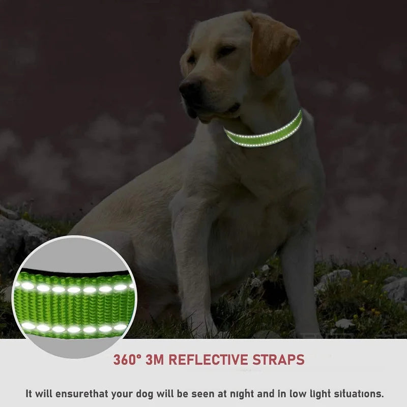 Decorative Small Dog Collar