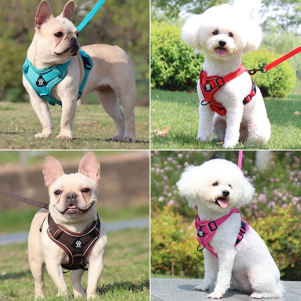 Cat Harness Leash Set