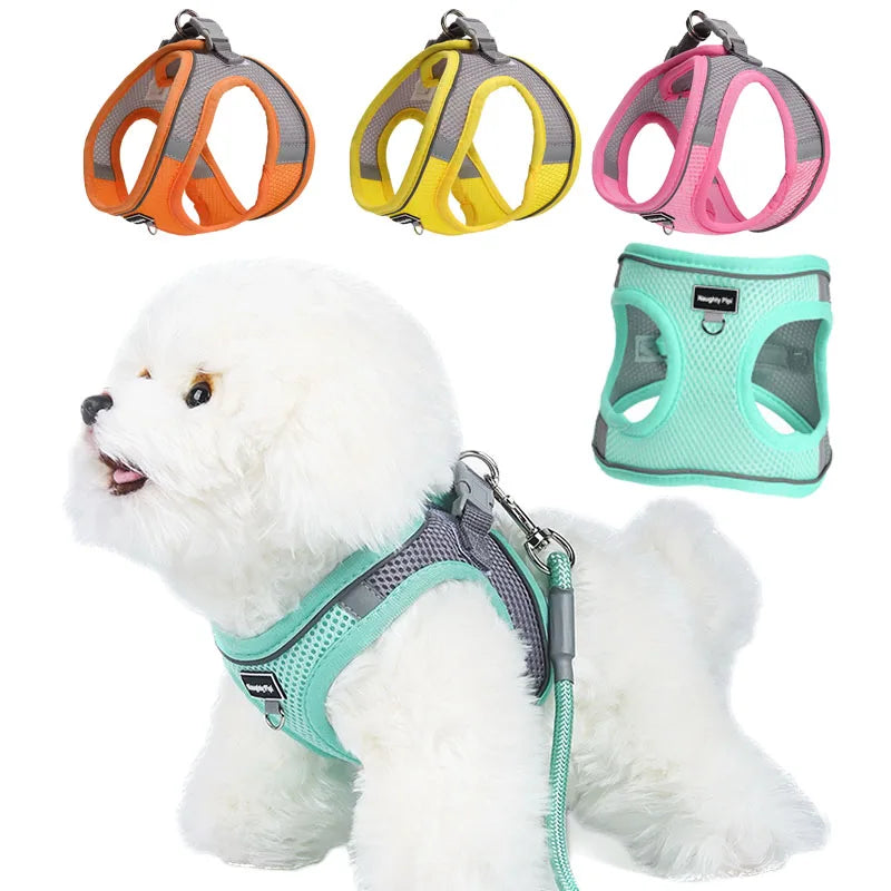 Dog Harness and Leash Set