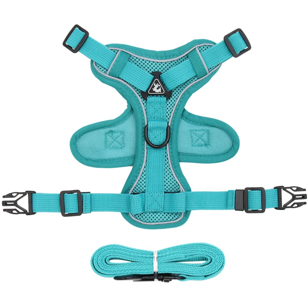 Cat Harness Leash Set