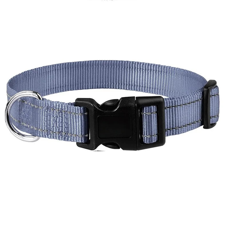 Decorative Small Dog Collar