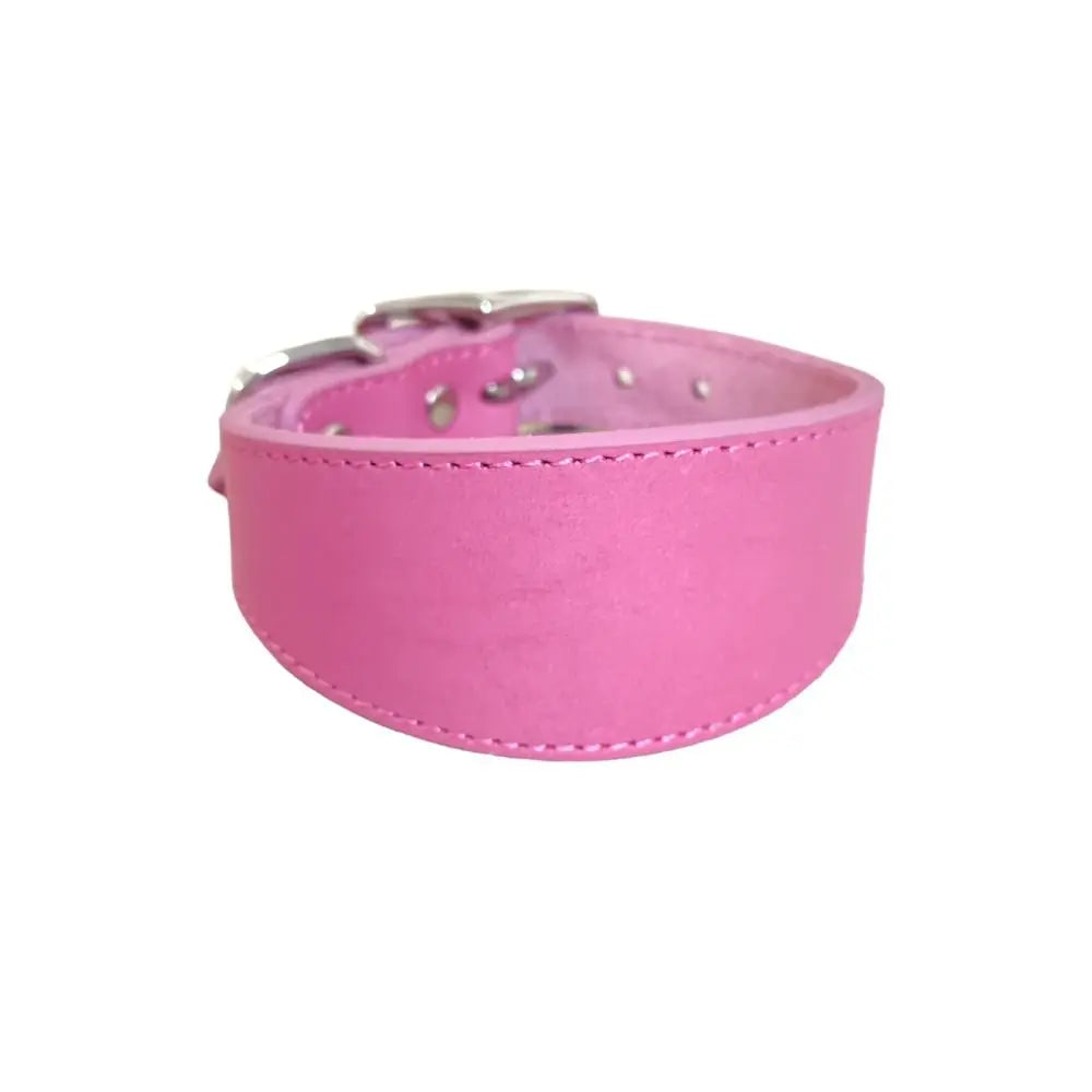 Adjustable Leather Dog Collar