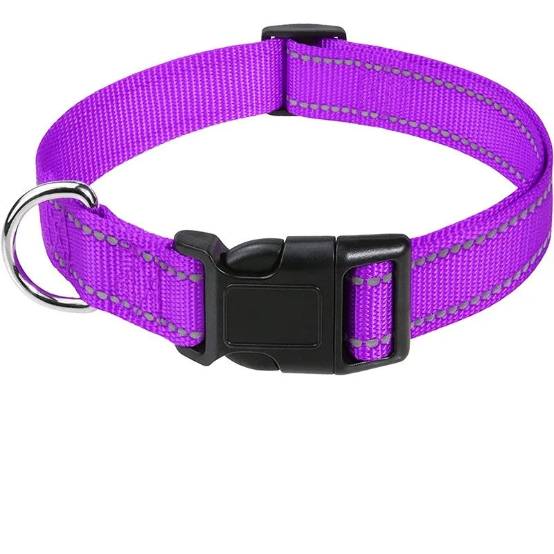 Decorative Small Dog Collar