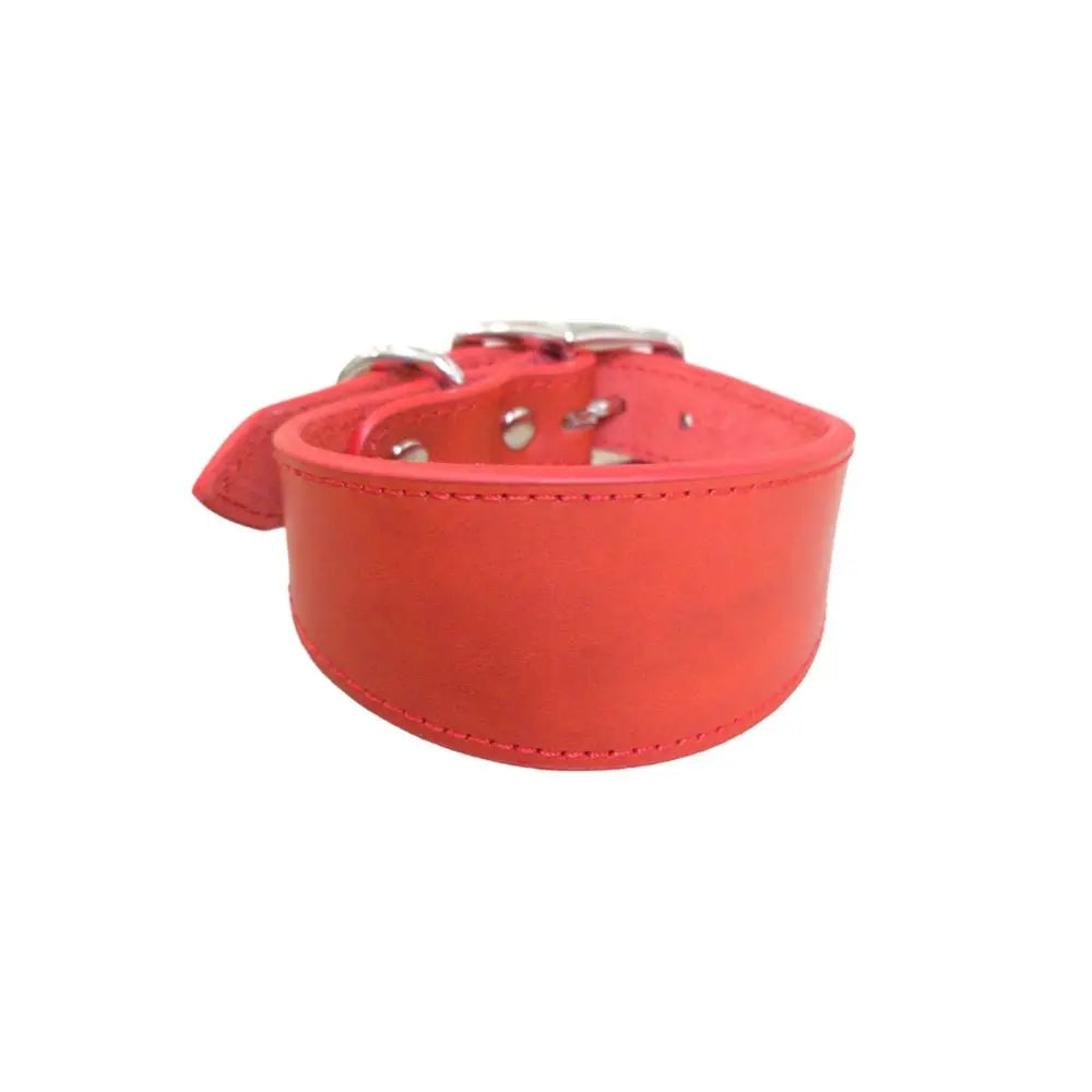 Adjustable Leather Dog Collar