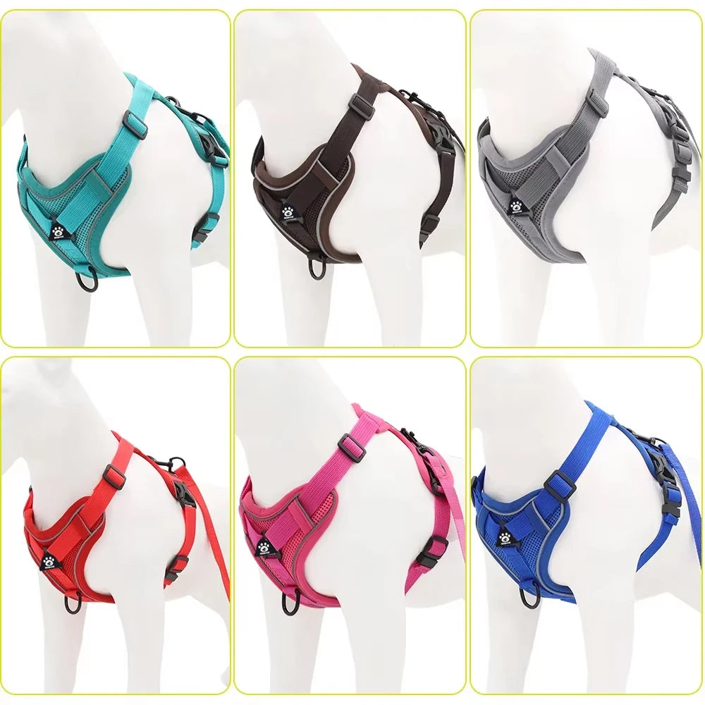 Cat Harness Leash Set