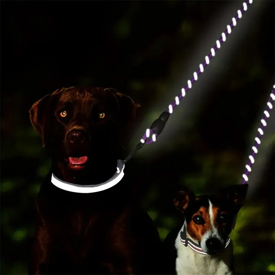 Dual Dog Walking Leash