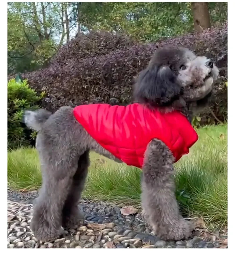 Double-Sided Dog Coat