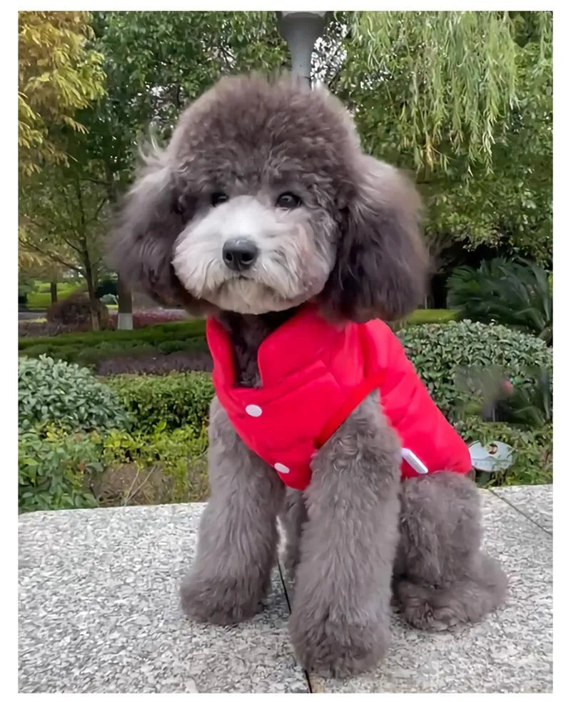 Double-Sided Dog Coat