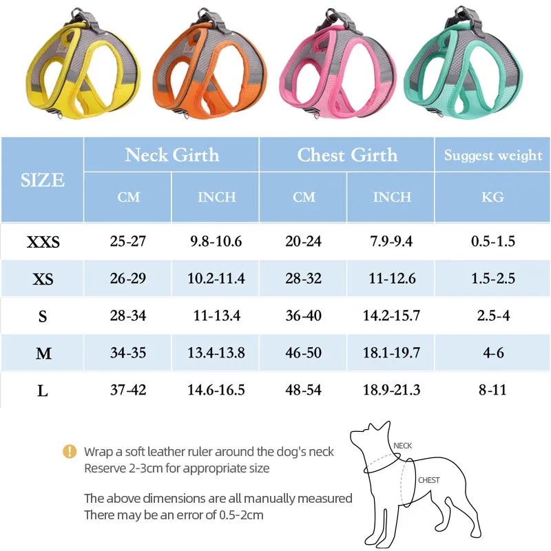 Dog Harness and Leash Set