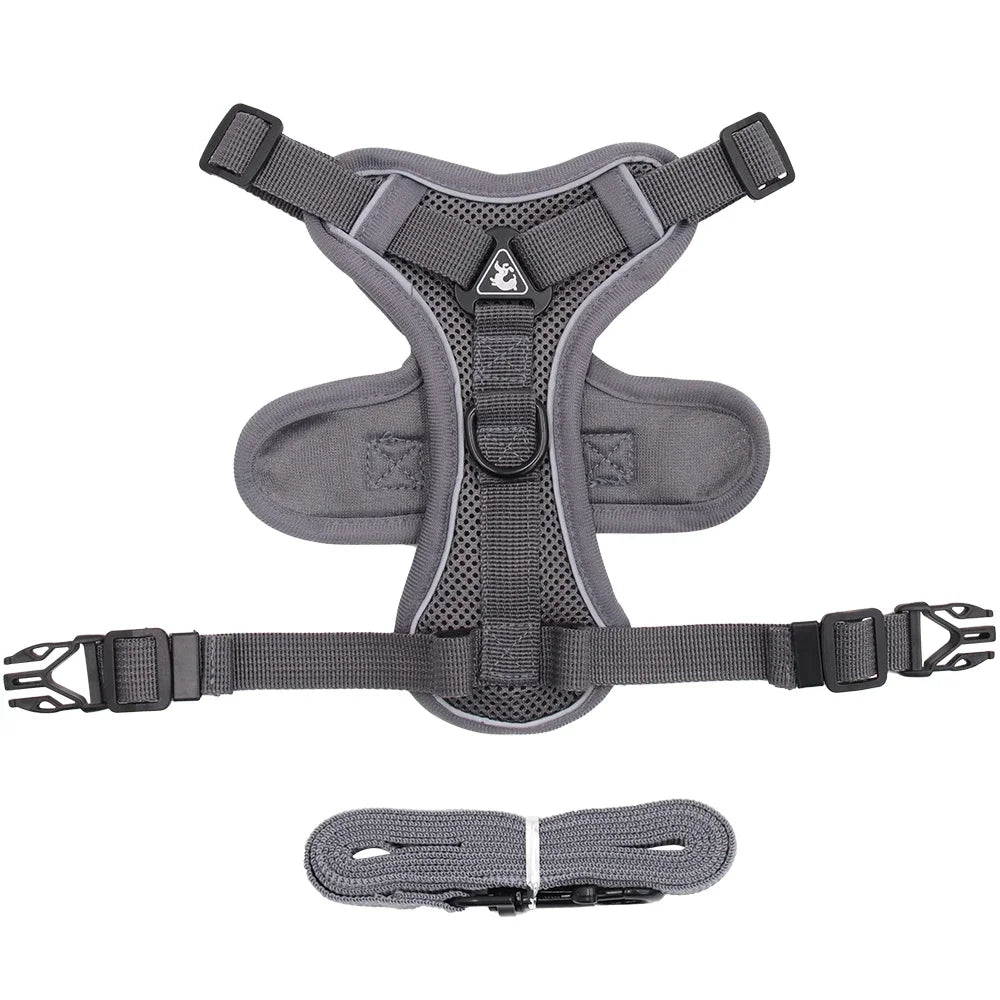 Cat Harness Leash Set