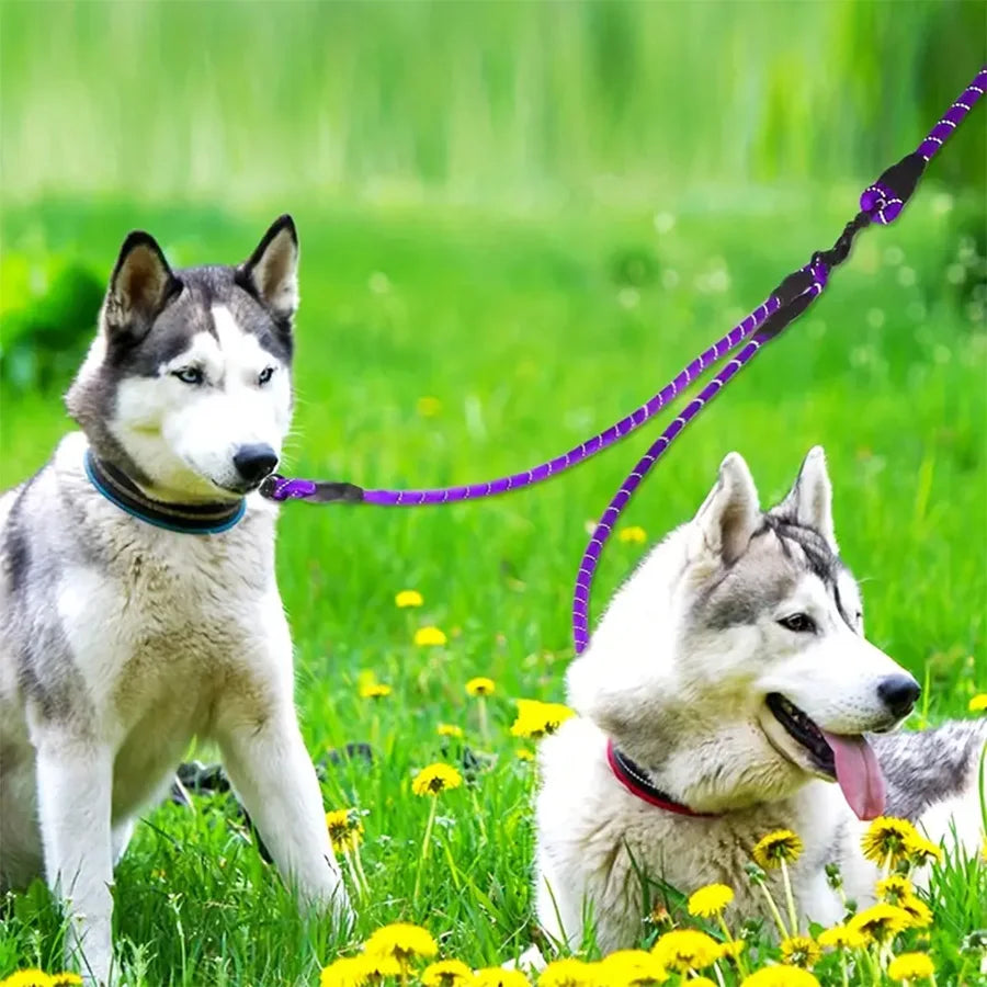 Dual Dog Walking Leash