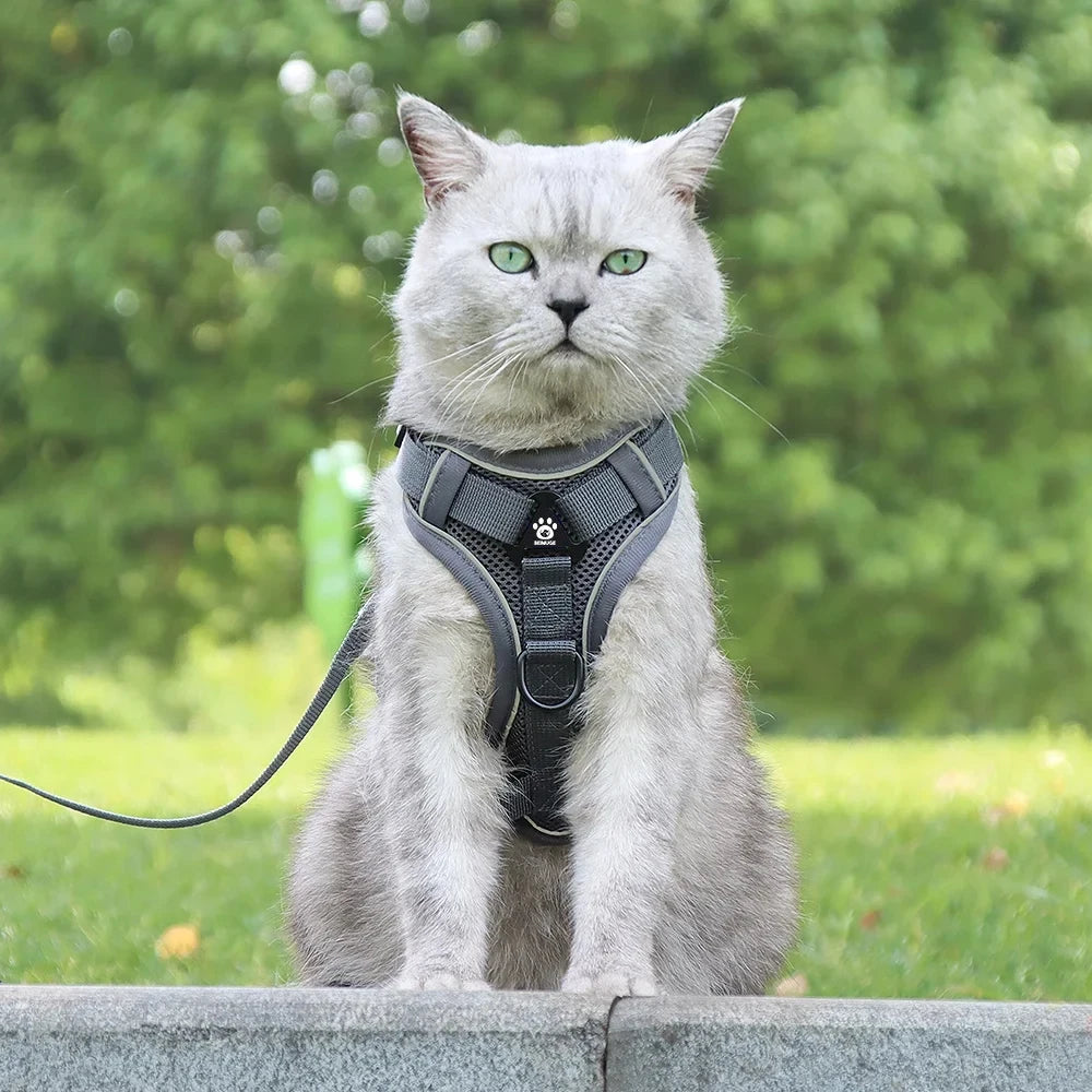Cat Harness Leash Set