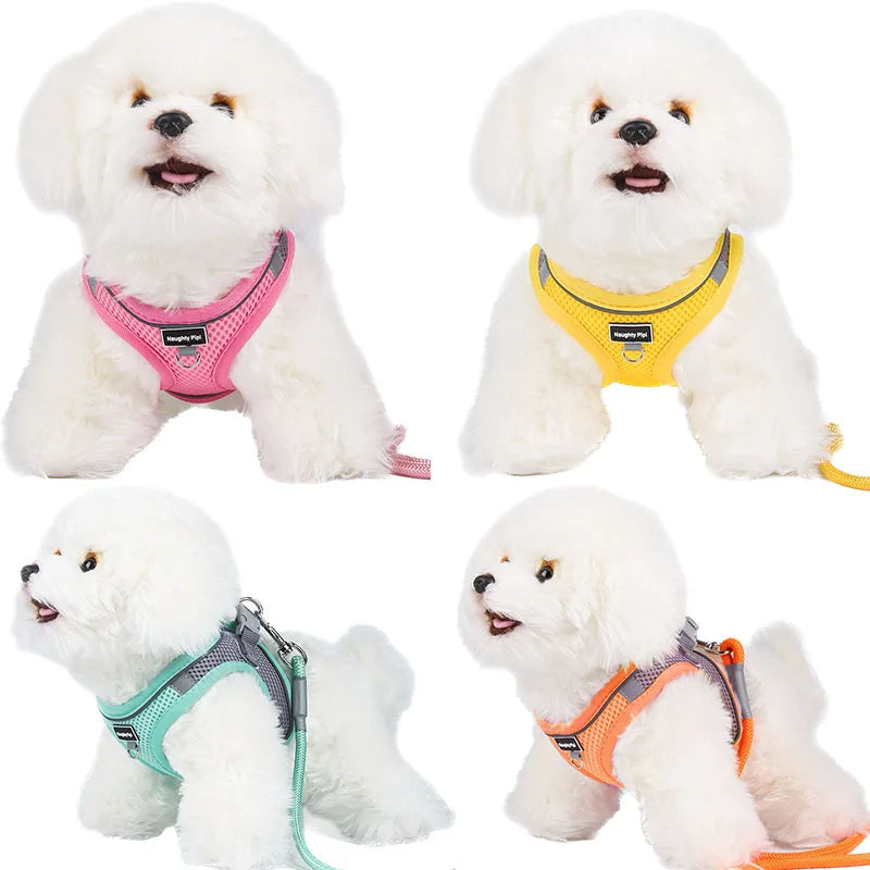 Dog Harness and Leash Set