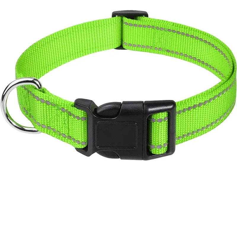 Decorative Small Dog Collar