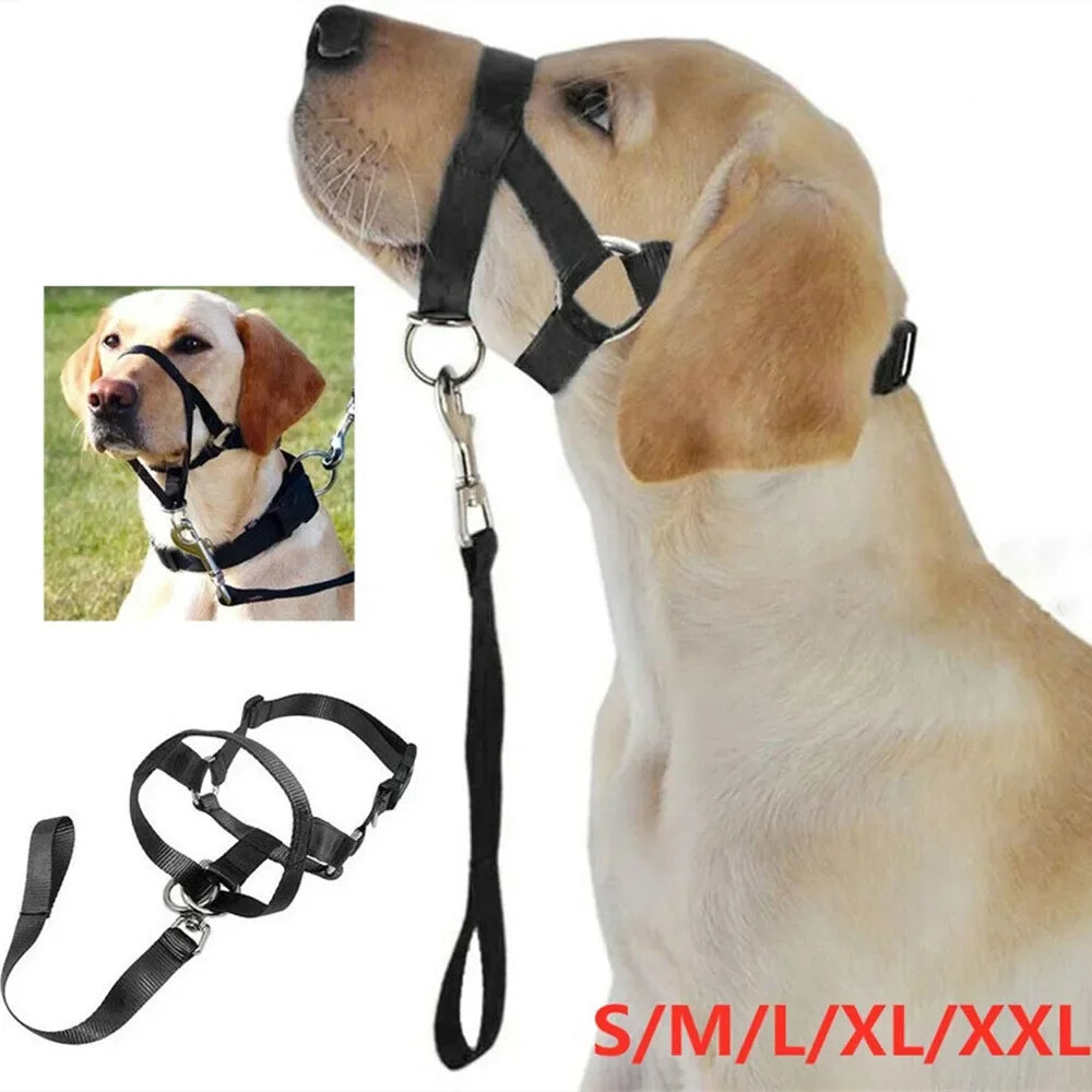 Dog Halter Training Head Collar