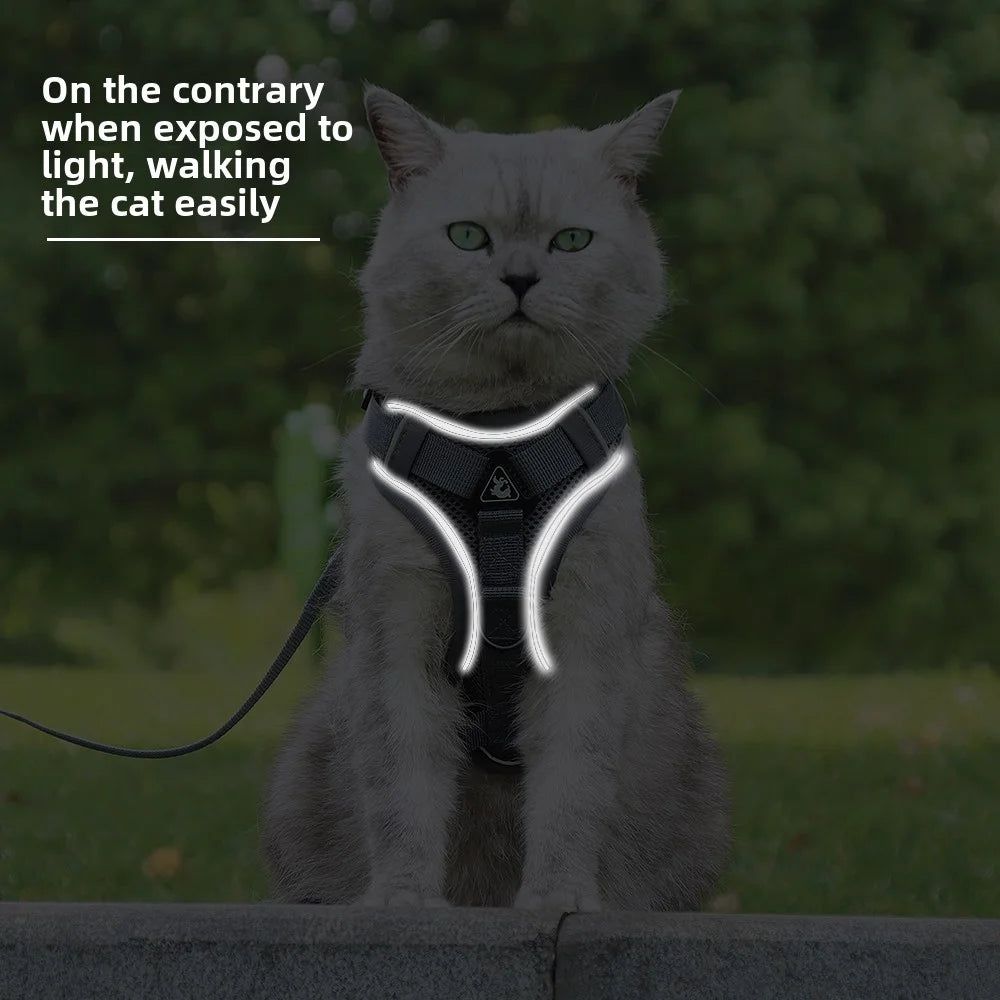 Cat Harness Leash Set