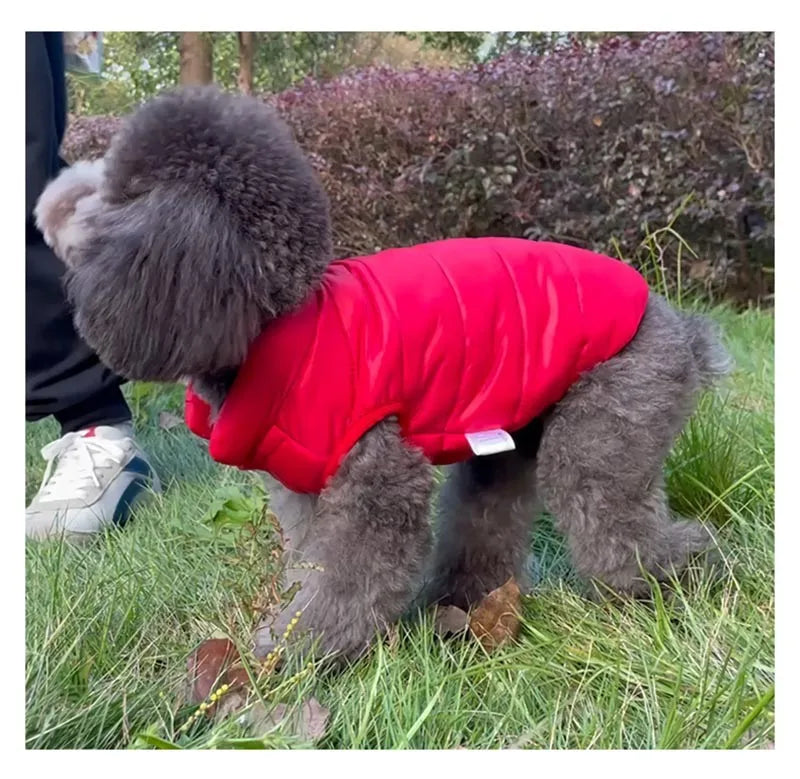 Double-Sided Dog Coat