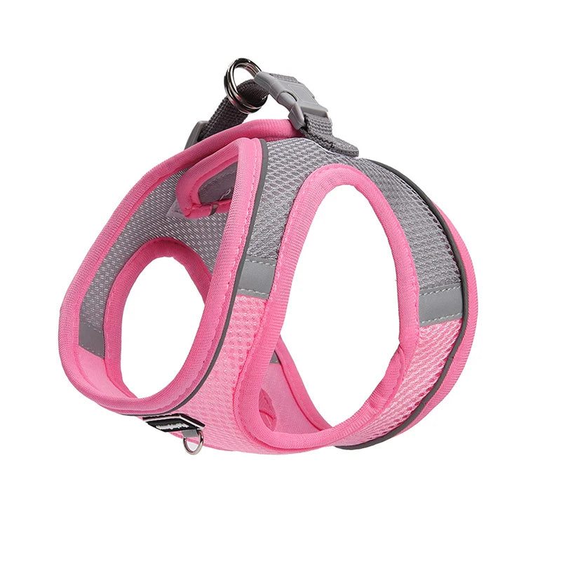 Dog Harness and Leash Set