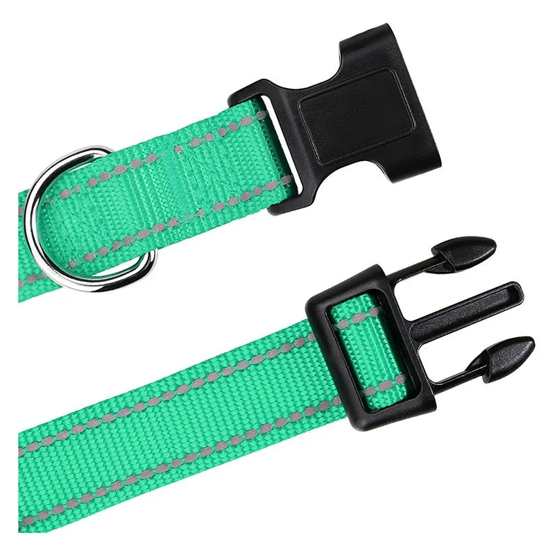 Decorative Small Dog Collar